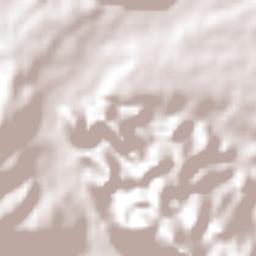 Eureka y Belén Terrain Map