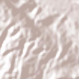 Salto de Agua Terrain Map