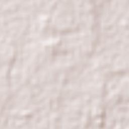 San Carlos Terrain Map