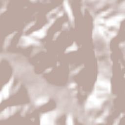 Tlamixtlahuacan Terrain Map