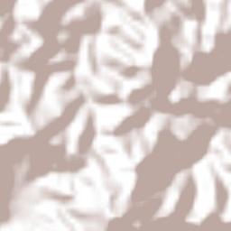 Cuyuxtlahuaca Terrain Map