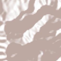 Santa María Chilapa de Díaz Terrain Map