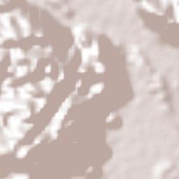 Xicoténcatl Terrain Map