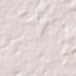 Municipio de San Andrés Terrain Map