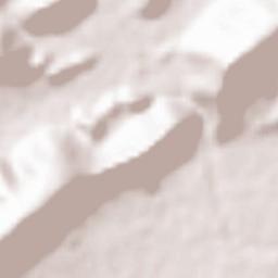 Etikoppaka Terrain Map