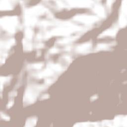 Zelocotitlán Terrain Map