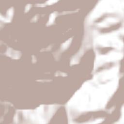 Patlicha Terrain Map