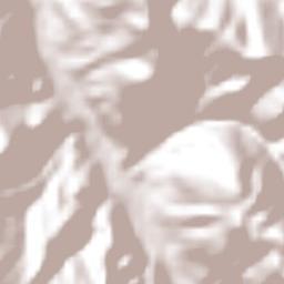 Alcozauca de Guerrero Terrain Map