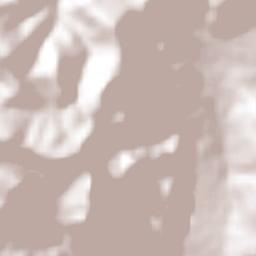 San Miguel Tlacotepec Terrain Map