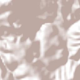 Santos Reyes Tepejillo Terrain Map