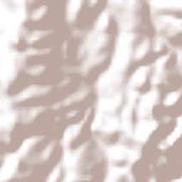 San Vicente Nuñu Terrain Map