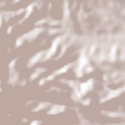 San Pedro Topiltepec Terrain Map