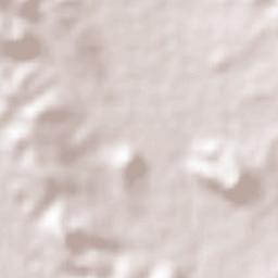 San Andrés Sinaxtla Terrain Map