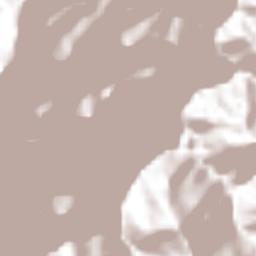 San Juan Petlapa Terrain Map