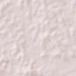 Jesús Carranza Terrain Map