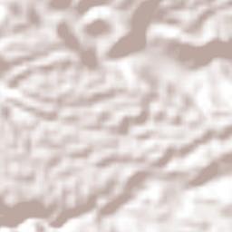 Nuevo Xochimilco Terrain Map