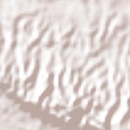 Doctor Samuel León Brindis Terrain Map