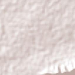 Arena de Hidalgo Terrain Map