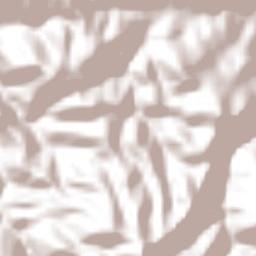 Tototepec Terrain Map