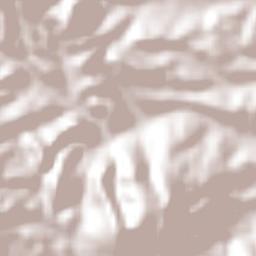 Santo Domingo Tlatayapam Terrain Map