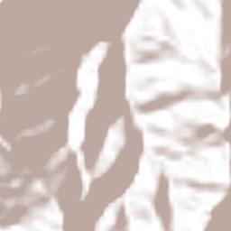 San Juan Yaee Terrain Map