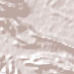 Cenobio Aguilar (La Trinidad) Terrain Map