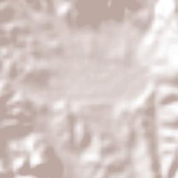 San Francisco Nuxaño Terrain Map