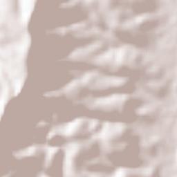 San Francisco Jaltepetongo Terrain Map