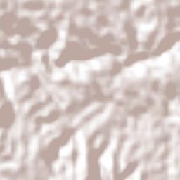 San Juan Jaltepec Terrain Map