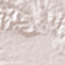 San José de las Flores Terrain Map