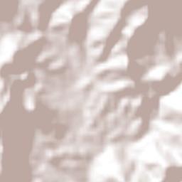 Coacoyulillo Terrain Map