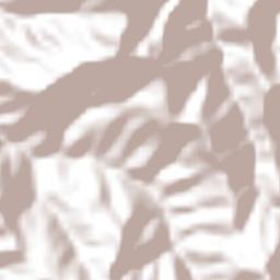 El Tejocote Terrain Map