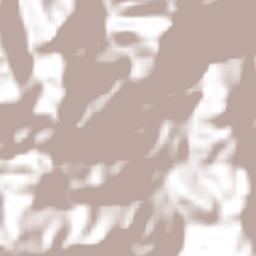 San Vicente Zoyatlán Terrain Map