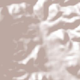 San Juan Mixtepec -Dto. 08 - Terrain Map