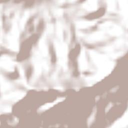 Santiago Nundiche Terrain Map