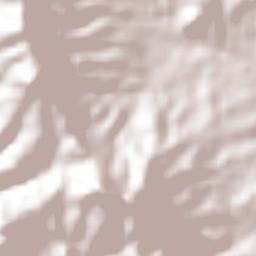 Santa María del Rosario Terrain Map