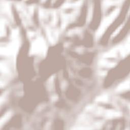 Magdalena Jaltepec Terrain Map