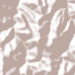 Santiago Tenango Terrain Map