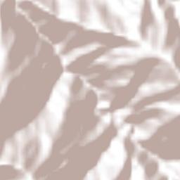 San Ildefonso Villa Alta Terrain Map