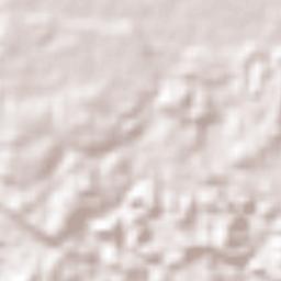 Constitución Mexicana Terrain Map