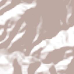 Francisco León Terrain Map