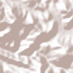 Chapultenango Terrain Map