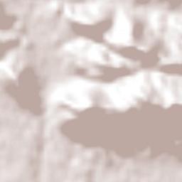 San Luis de La Loma Terrain Map