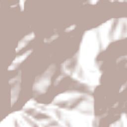 Cuatzoquitengo Terrain Map