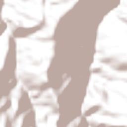 Zilacayotitlán Terrain Map