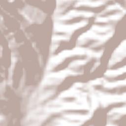 San Juan del Estado Terrain Map