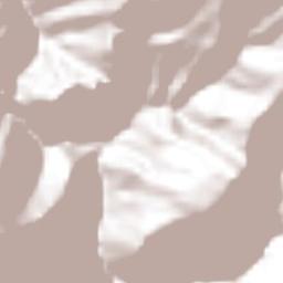 San Andrés Yaá Terrain Map