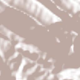 Zacatonal de Juárez Terrain Map