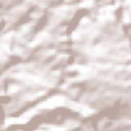 Unión Juárez Terrain Map