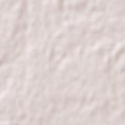 San Luis San Pedro Terrain Map